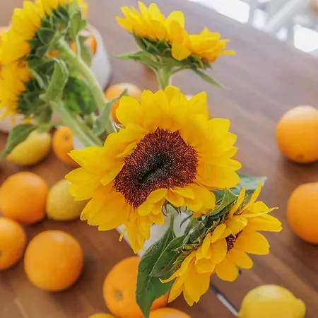 Ocean By Endless Sun I Modern Comfort, Sea View, Wi-fi, Parking, Heating *